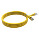 Cordon RJ45 cat 6 surmoulé FUTP 100 Ohms LSOH, 2m, jaune